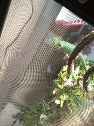 20160514_180509.jpg