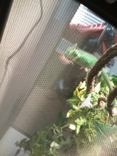 20160514_180510.jpg