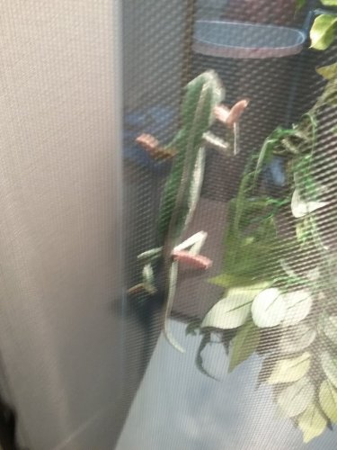 20160514_182716.jpg