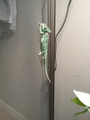 20160514_182658.jpg
