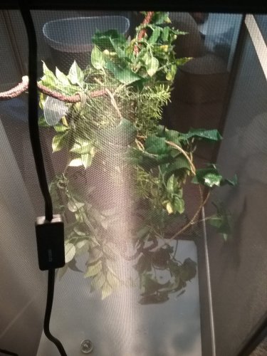 20160514_180501.jpg