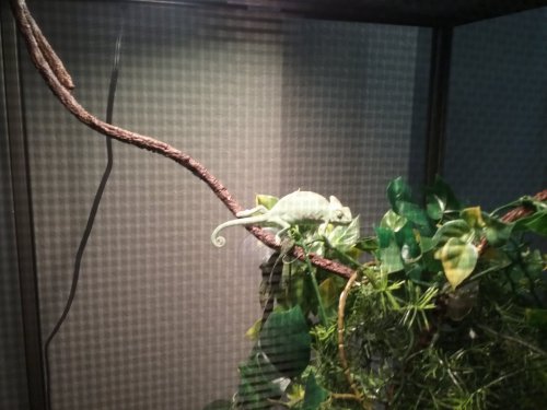 20160514_191423.jpg