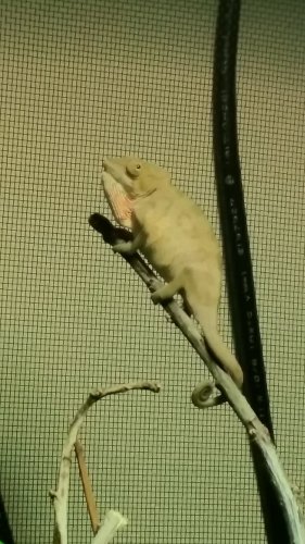 20160515_072048.jpg