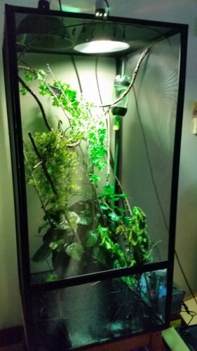 20160514_194623.jpg