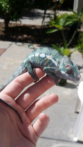 20160516_101704.jpg