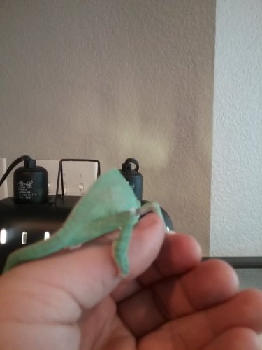 20160517_152633.jpg