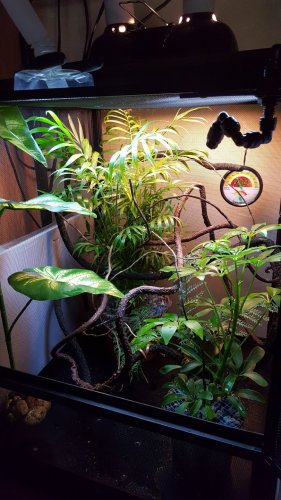 20160518_064106.jpg