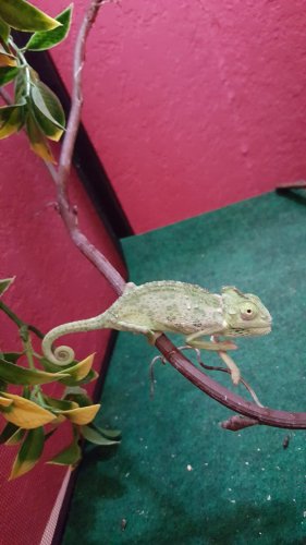 20160520_175712.jpg