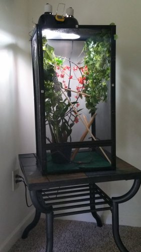 20160522_143623.jpg