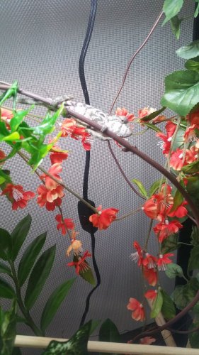20160522_130245.jpg