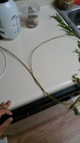 20160522_185951.jpg