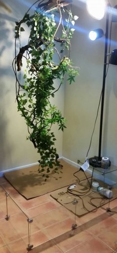 2016-05-26 20.28.59.jpg