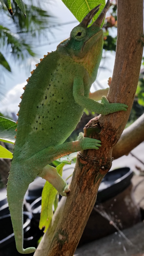 2016-03-14 17.10.40.png