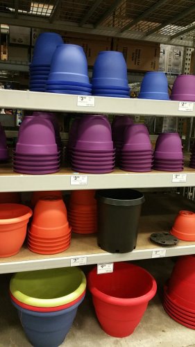 20160527_202556.jpg