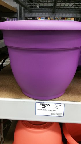 20160527_202538.jpg