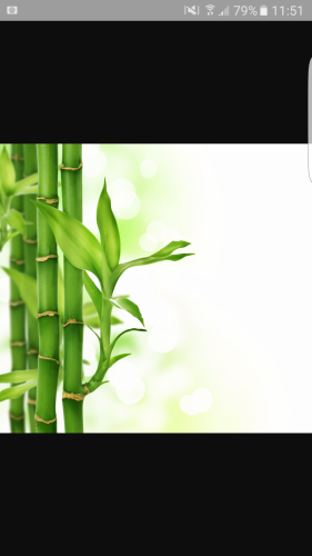 Screenshot_20160529-115148.png