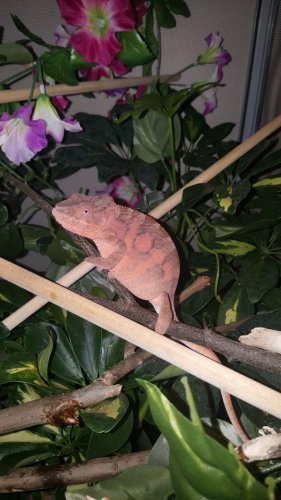 20160526_061843.jpg