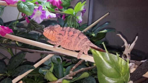 20160529_122407.jpg
