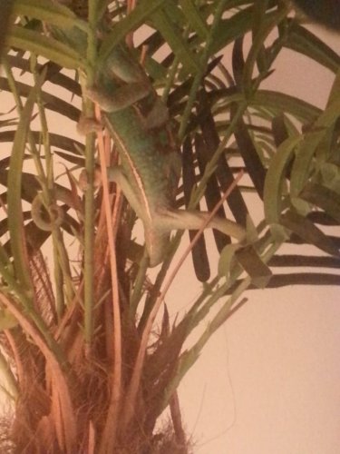 20160528_192007.jpg