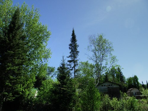 side leading to back treeline.JPG