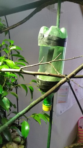 20160601_162452.jpg