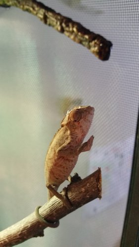 20160604_175221.jpg