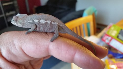 20160604_181439.jpg