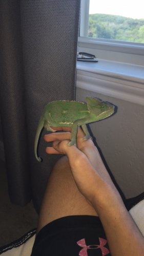 image.jpeg