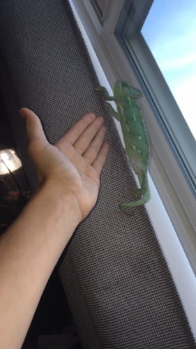 image.jpeg