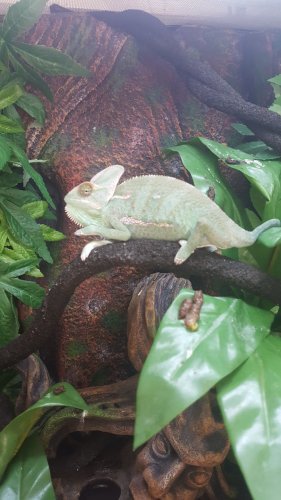 IMG-20160517-WA0004.jpeg