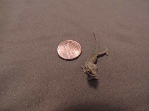 DSCN9094.JPG