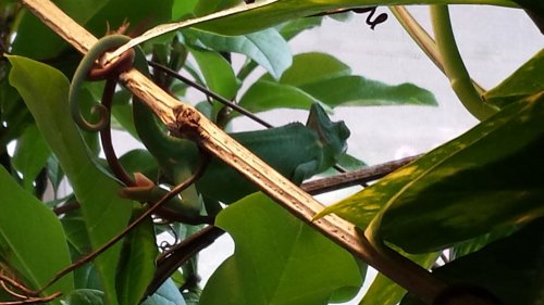20160422_160537.jpg