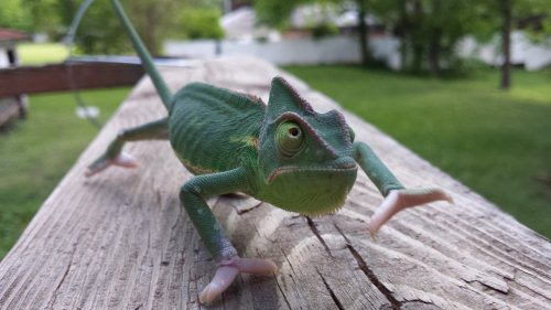 20160505_165833_3.jpg