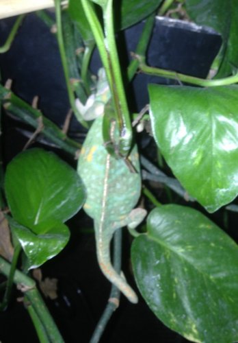 FullSizeRender 6.jpg