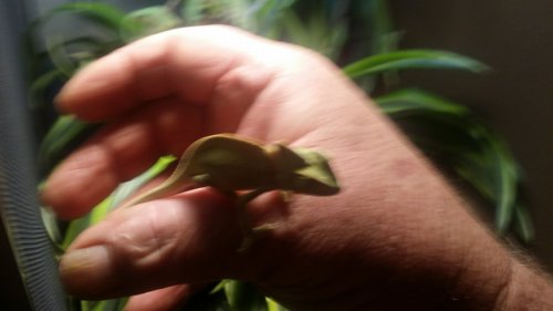 20160531_194237.jpg