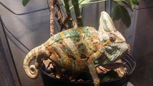 20160531_194129.jpg