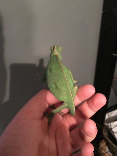 image.jpeg