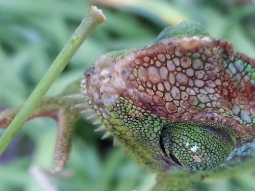 20160617_181114.jpg