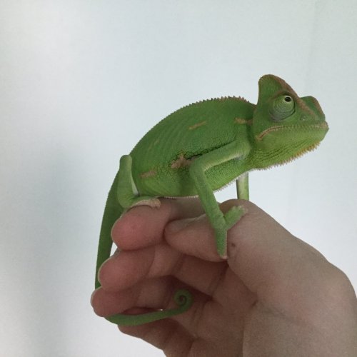 image.jpeg