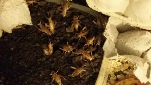 20160608_183433.jpg