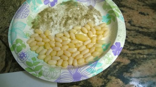 WP_20160622_015.jpg