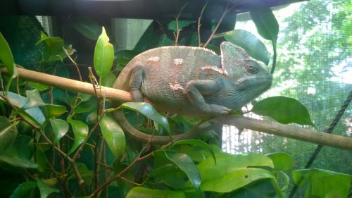 WP_20160622_020.jpg