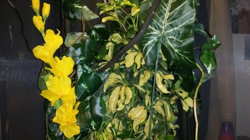 20160624_105616.jpg