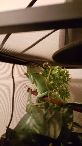 20160626_001340.jpg