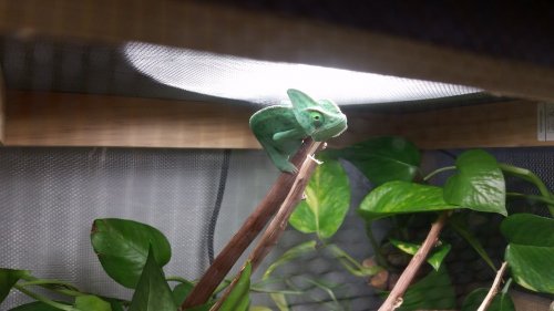 20160627_153527.jpg