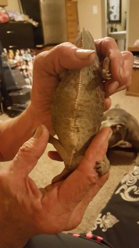20160628_180923.jpg
