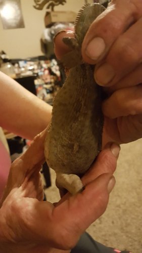 20160628_180930.jpg