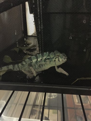 image.jpeg