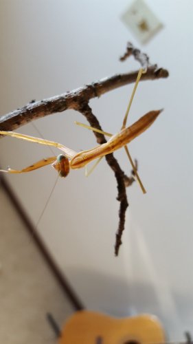 20160627_184842.jpg