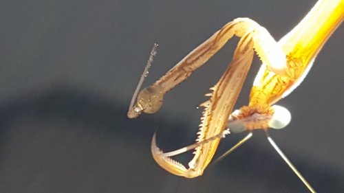 20160627_185240.jpg